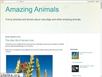 animals-wow.blogspot.com