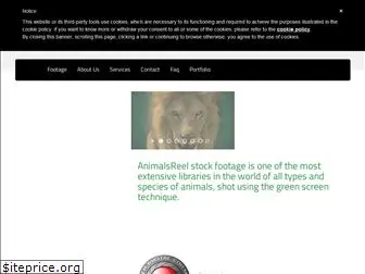 animalsreel.com