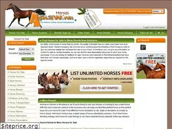 animaroohorses.com