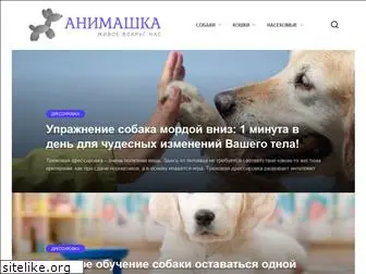 animashka.info