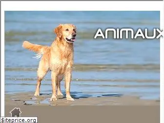 animaux-sur-la-plage.com