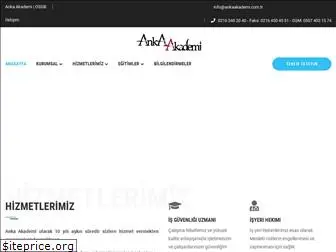 ankaakademi.com.tr