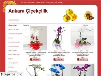 ankaracicekyolla.com