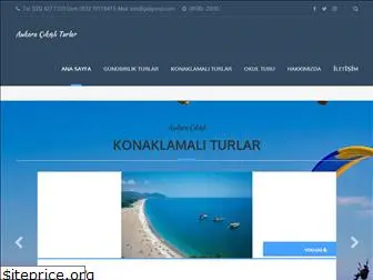 ankaracikisliturlar.com