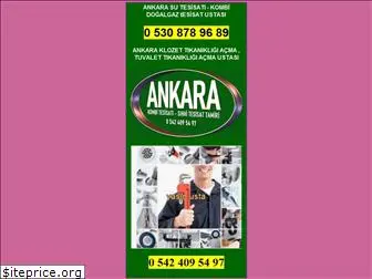 ankaraustaservis.com