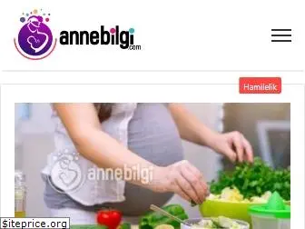 annebilgi.com