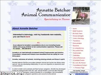 annettebetcher.com