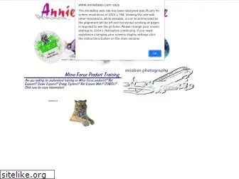 anniebees.com