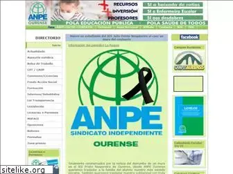 anpeourense.com