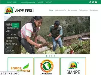 anpeperu.org
