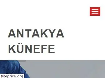 antakyakunefe.com