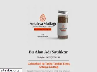 antakyamutfagi.com