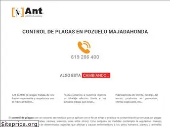 antcontroldeplagas.es