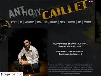 anthonycaillet.com