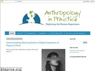 anthropologyinpractice.com