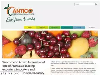 antico.com.au