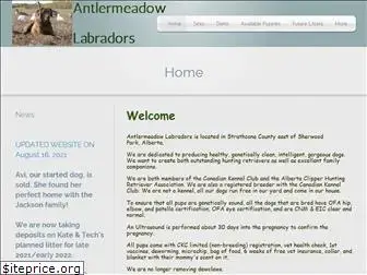 antlermeadowlabs.com