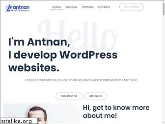 antnan.com