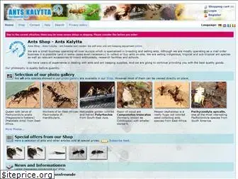 ants-kalytta.com