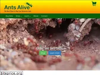 antsalive.com