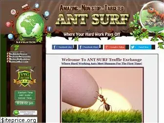 antsurf.com
