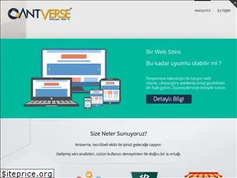 antverse.com