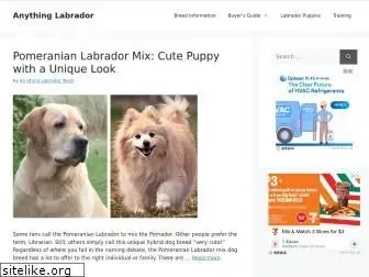 anythinglabrador.com