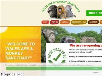 ape-monkey-rescue.org.uk