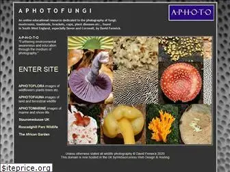 aphotofungi.com