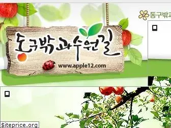 apple12.com