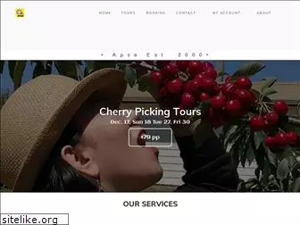 apsetours.com