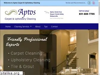 aptoscleaning.com