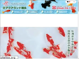 aqualandtokunaga.com