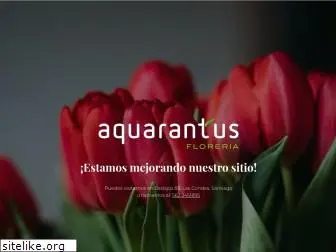 aquarantus.cl