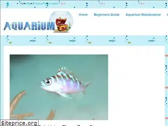 aquariumchest.com