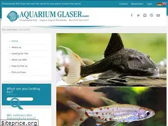 aquariumglaser.de