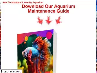 aquariumstuffs.com