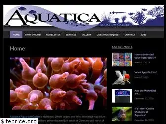 aquaticasuperstore.com