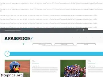 araibridge.com