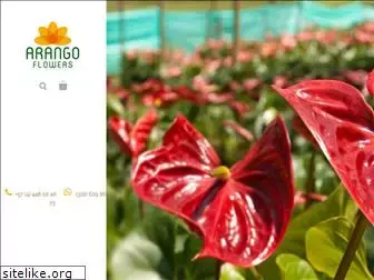 arangoflowers.com