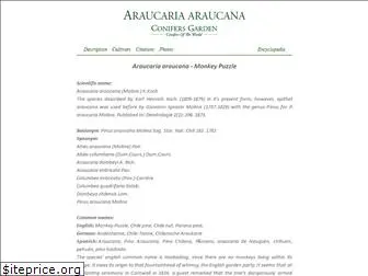 araucaria-araucana.com