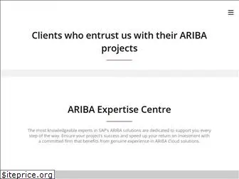 ariba-experts.com