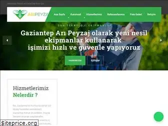 aripeyzaj.net