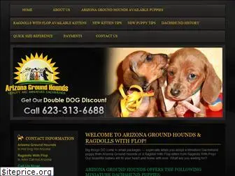 arizonagroundhounds.com