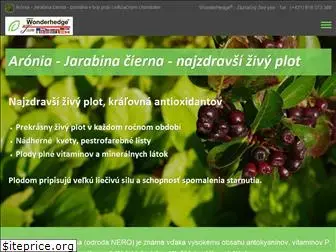 aronia-sk.sk