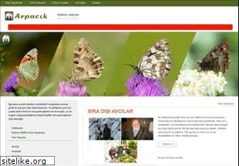 arpacik.net