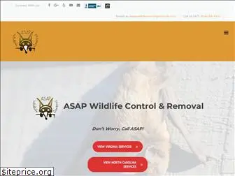 asapwildlifecontrol.com