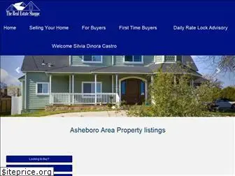 ashebororealestate.com