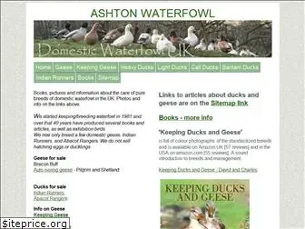 ashtonwaterfowl.net