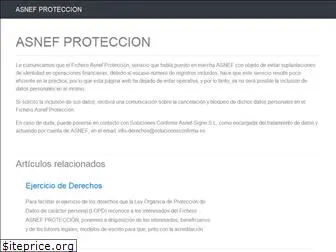 asnefproteccion.es